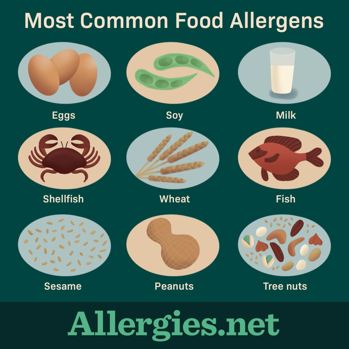 Nine foods cause the most allergic reactions, including eggs, milk products, peanuts, tree nuts, fish, shellfish, wheat, soy, and sesame.