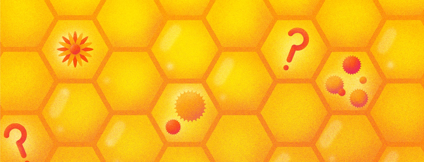 Can Honey Help Relieve Allergies? image