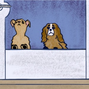 Two small, sad dogs standing on their hind legs and looking out a closed front door.