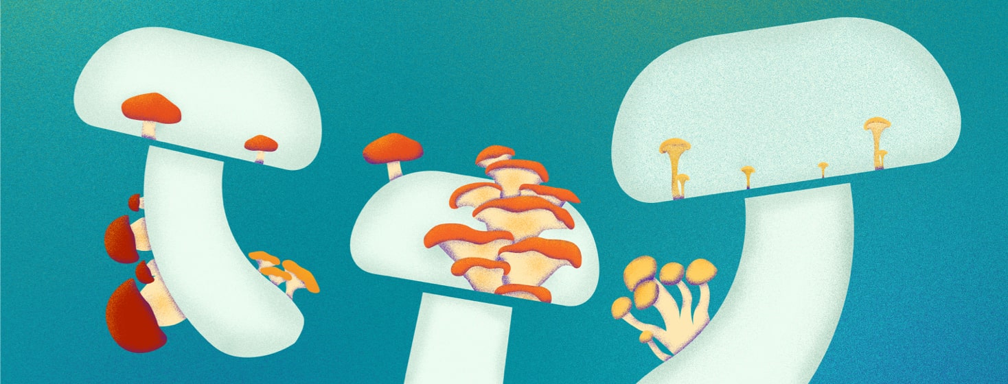 different types oof mushrooms
